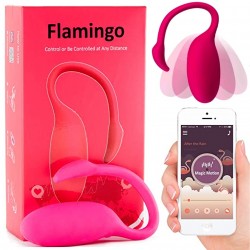 Flamingo Control